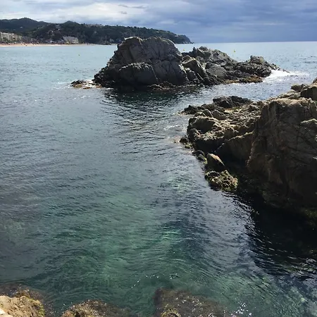 Appartement Seahomes Vacations - Seafront Fenals & Pkg *